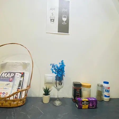 Downtown Mini Apartment