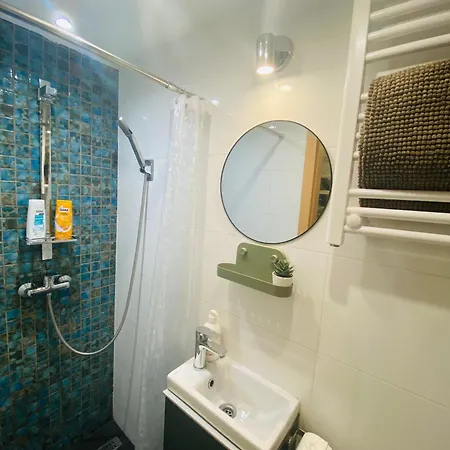 Downtown Mini Apartment *