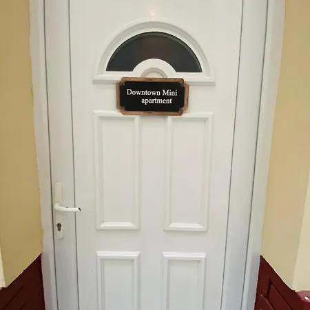 Appartement Downtown Mini *