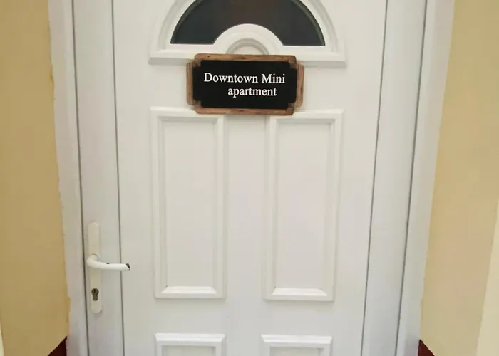 Appartement Downtown Mini *